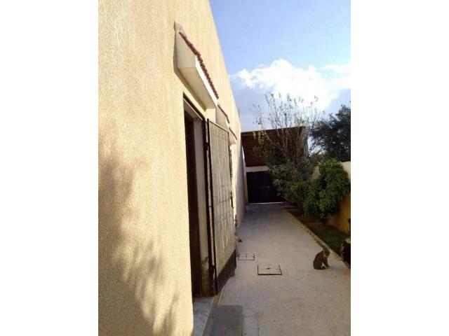 Photo av villa de 220md a hammamet sud image 3/4
