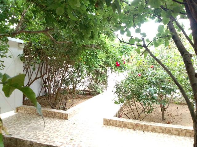 Photo av villa de 220md a hammamet sud image 3/3