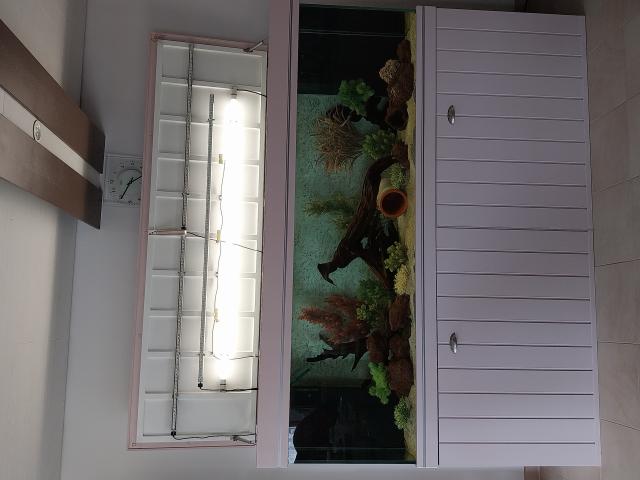 Photo bonjour grand aquarium a vendre de 840 litres avec meuble image 3/6