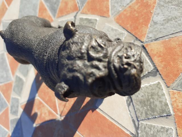 Photo BOULEDOGUE ANGLAIS EN BRONZE image 3/6