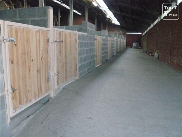 Photo Boxes tout confort,pour chevaux en pension complète à Velaines(8 km de Tournai) image 3/6