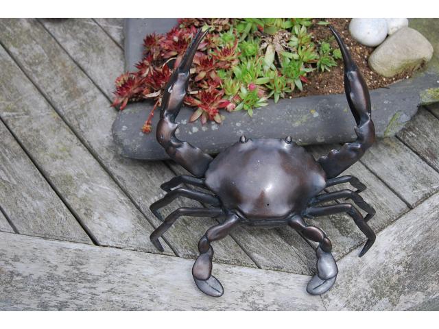 Photo Bronze animalier (le crabe) image 3/6