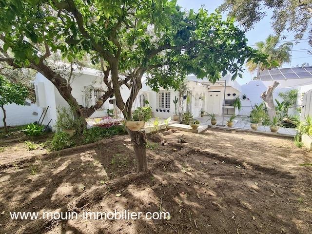 Photo Bungalow Maya AL3529 Hammamet zone theatre image 3/6
