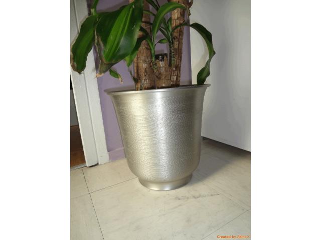 Photo Cache-pot pour plante - TBE - ARGENT image 3/3