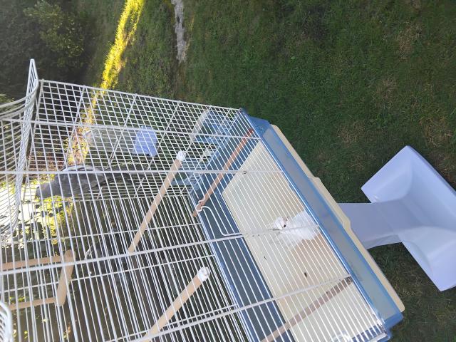 Photo cage image 3/4