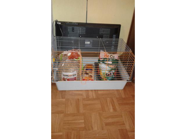 Photo cage a lapin image 3/4