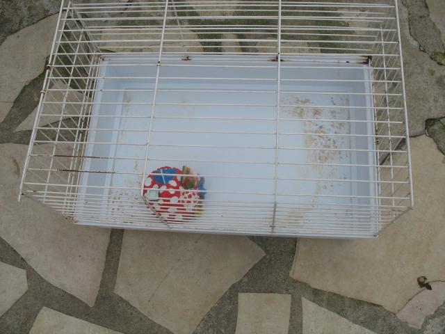 Photo cage a lapin image 3/3