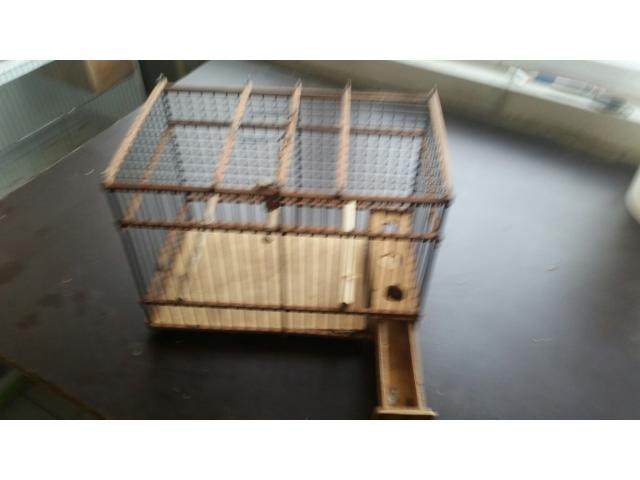 Photo cage espagnol image 3/3
