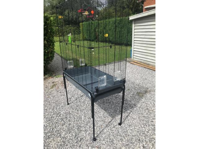 Photo Cage oiseau image 3/3