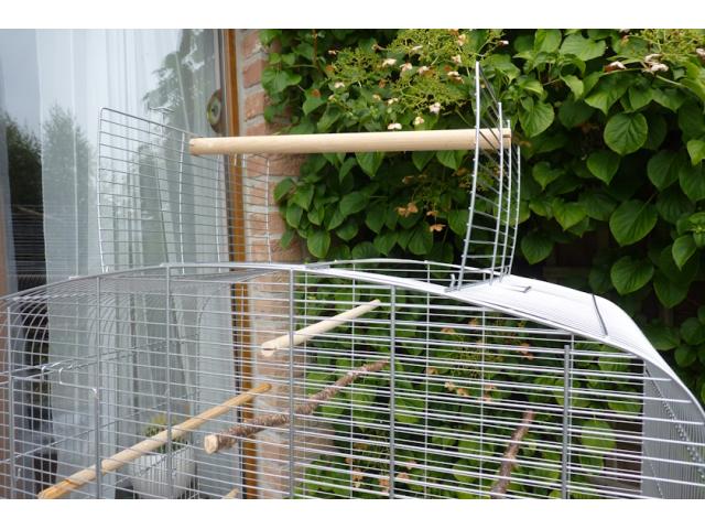 Photo Cage  oiseaux image 3/4