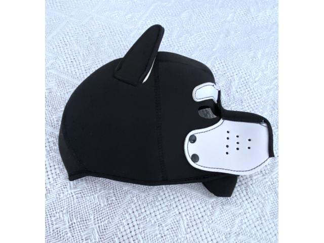 Photo Cagoule masque chien image 3/3