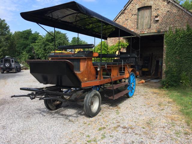 Photo caleche wagonnette image 3/4