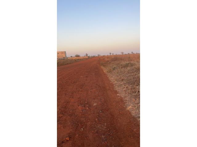 Photo Champ de 3 hectares à vendre à Mbodiène Sénégal image 3/4