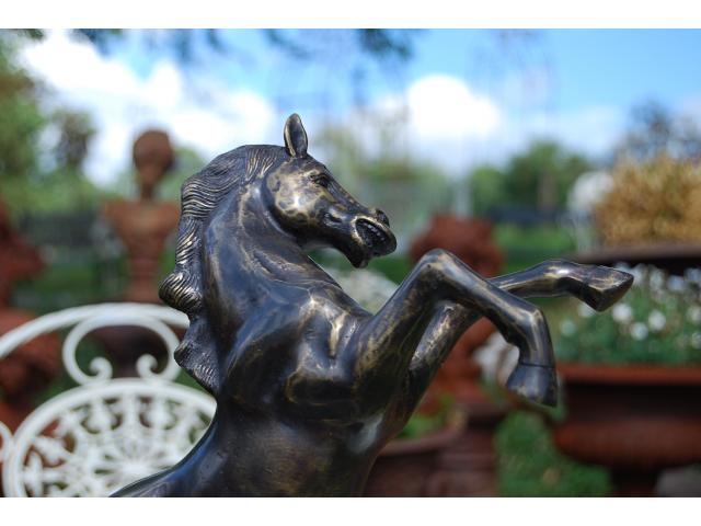 Photo Cheval en bronze (cheval cabré) image 3/4