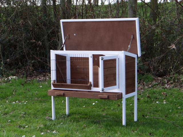 Photo Clapier Picardi clapier rongeur clapier lapin cage cochon d'inde enclos rongeur parc rongeur chinchi image 3/6