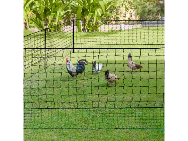 Photo Clôture en filet 50m enclos poule enclos caille parc poule parc lapin enclos lapin enclos anti renar image 3/4