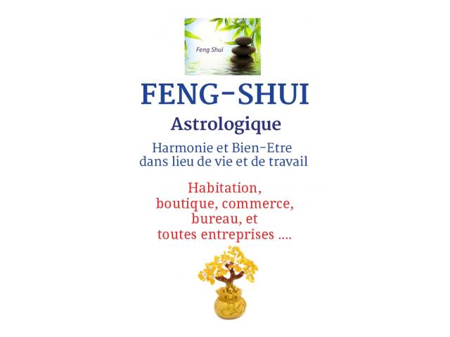 Photo Consultation de : Feng-Shui Astrologique image 3/3