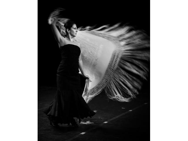 Photo Danseur(euses) de flamenco image 3/4