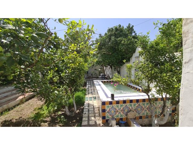 Photo Dar Bondouka 2 AV243 Hammamet image 3/6