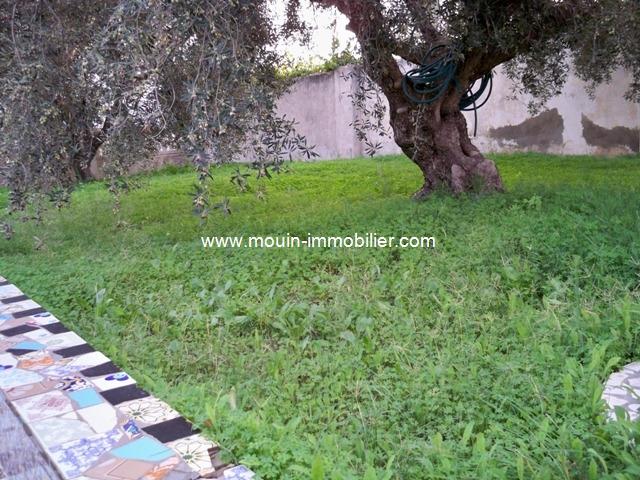 Photo Dar Happiness A Hammamet Nord AV521 image 3/5