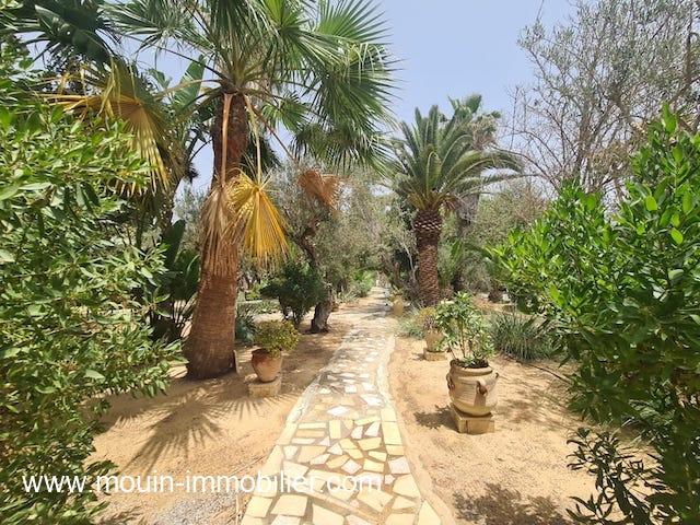 Photo DAR L'OLIVIER AL120 Hammamet zone Miramar image 3/6