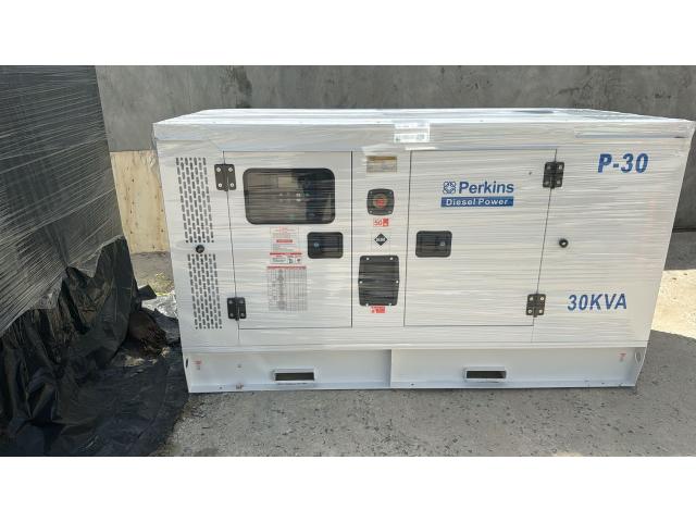 Photo DES GROUPES ELECTROGENES DIESEL / ESSENCE A VENDRE N°1 image 3/4