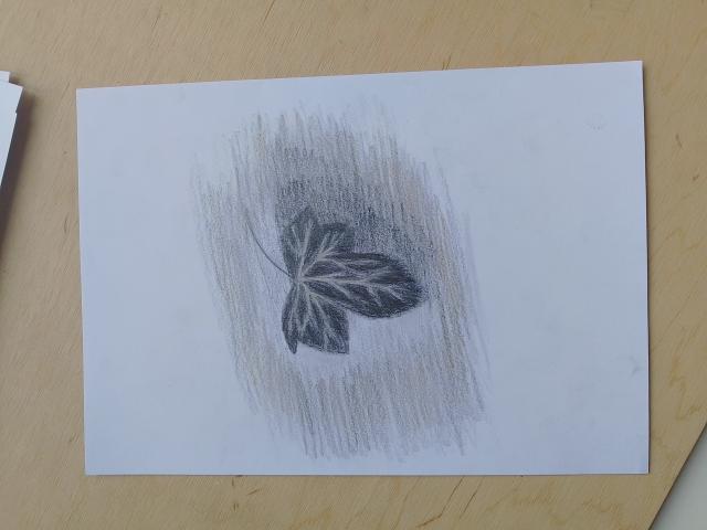 Photo Deux dessins de lierre sont à vendre image 3/3