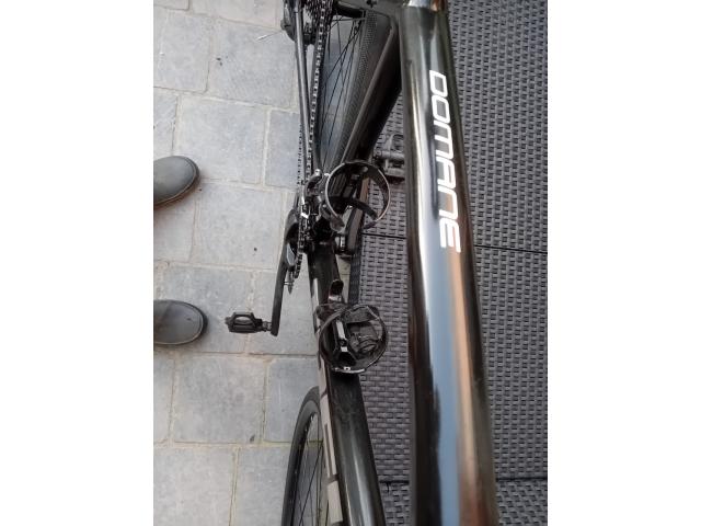 Photo Domane AL 4 2024 image 3/5