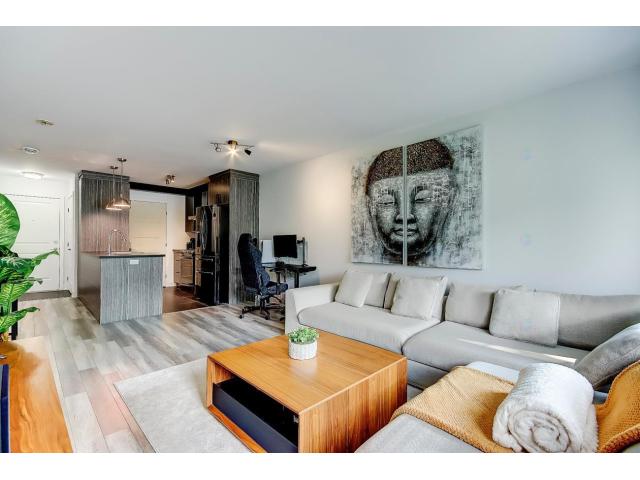 Photo Élégant condo 3 1/2 de qualité supérieure à Saint-Hubert (Longueuil, Quebec) image 3/6