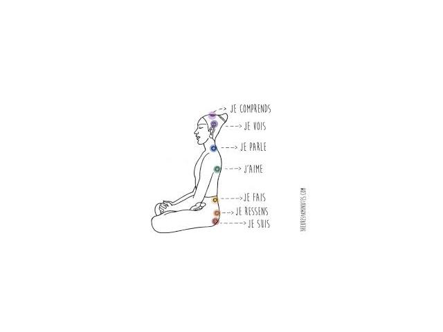 Photo enseignement de yoga image 3/6