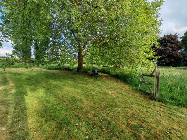 Photo Entretien des espace verts image 3/5