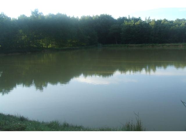 Photo étang  pour peche  et détente à l année à Roybon 38940 image 3/4