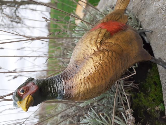 Photo FAISAN EN BRONZE DE VIENNE image 3/6