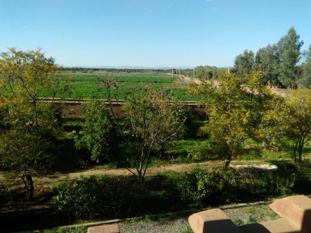 Photo Ferme a vendre region Marrakech image 3/6