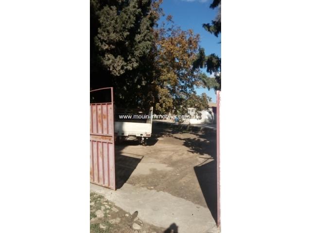 Photo Ferme Bouargoub ref T573 Nabeul image 3/3