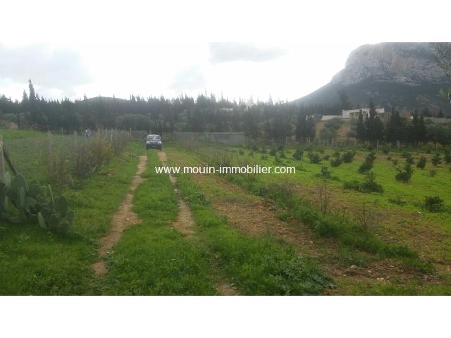 Photo Ferme La Colombe T 465 Mornag image 3/6