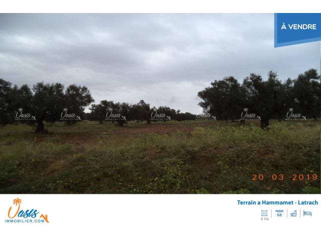 Photo Ferme lattrach ref 959 image 3/5