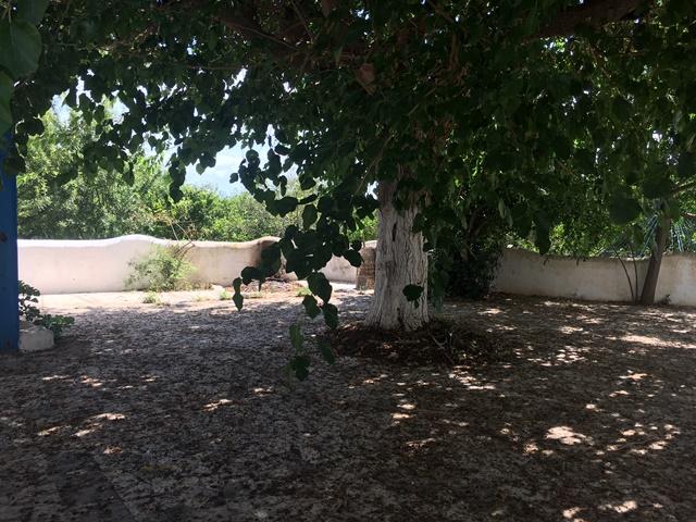 Photo FERME LES BOUGAINVILLIER Hammamet T515 image 3/6