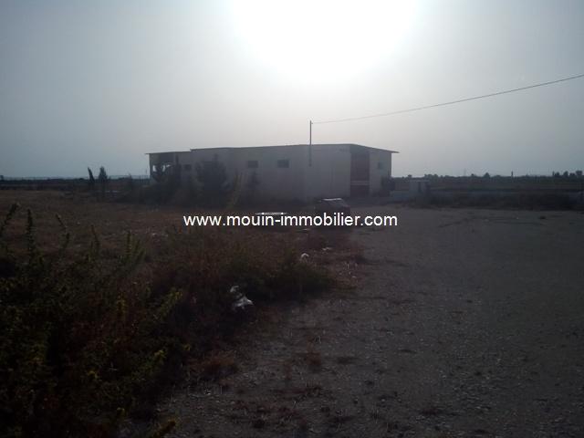 Photo Ferme Sidi Thabet T651 Ariana image 3/4