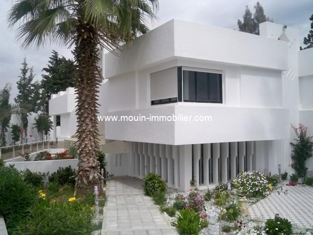 Photo flora hause AV763 saukra tunis image 3/6
