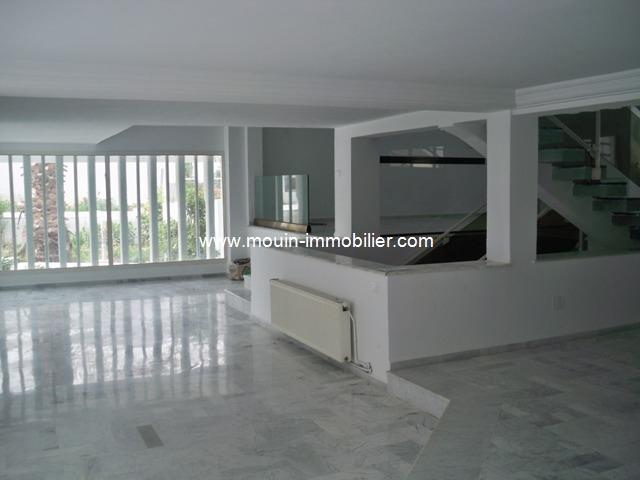 Photo flora hause AV763 saukra tunis image 3/6