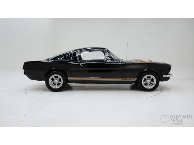 Photo Ford Mustang Fastback '65 CH1573 image 3/6
