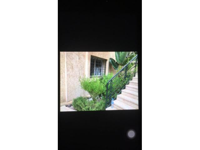 Photo garconiére prés de rés amirat sidi maarouf image 3/4