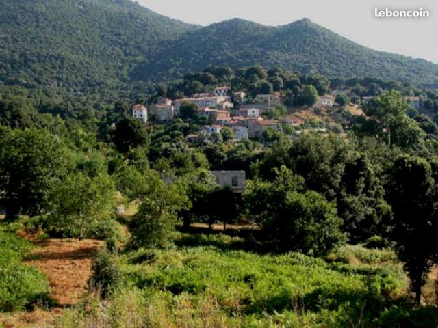 Photo Gd Terrain en bordure de Santa Maria et Grosseto Prugna image 3/3