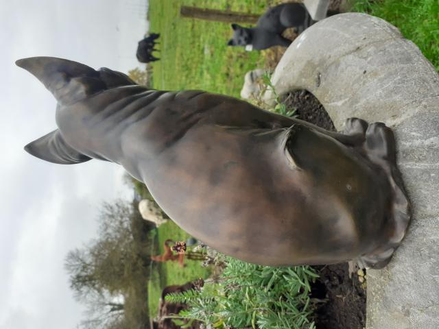 Photo GRAND CHAT EN BRONZE SIGNE (JOAN PRINCE) image 3/6