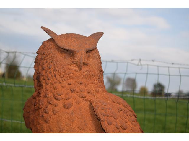 Photo GRAND HIBOU EN FONTE (hibou grand duc) image 3/6