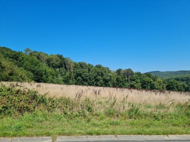 Photo Hastière - Agimont : magnifique terrain de 51 ares, rue très calme. image 3/4