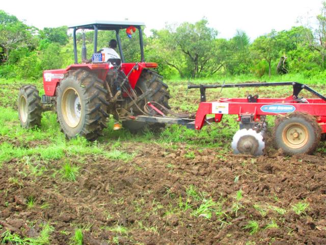 Photo INVESTIR DANS L'AGRICULTURE image 3/5