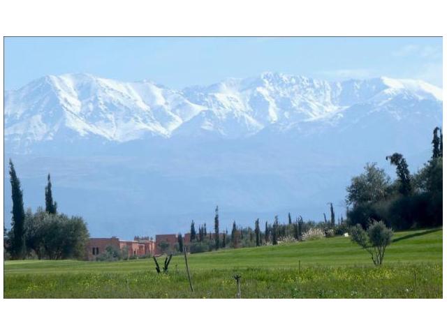 Photo joli appart meuble de 3ch vc Jardin et piscine sur  la route d Ourika image 3/3