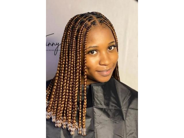 Photo Knotless Braids image 3/6